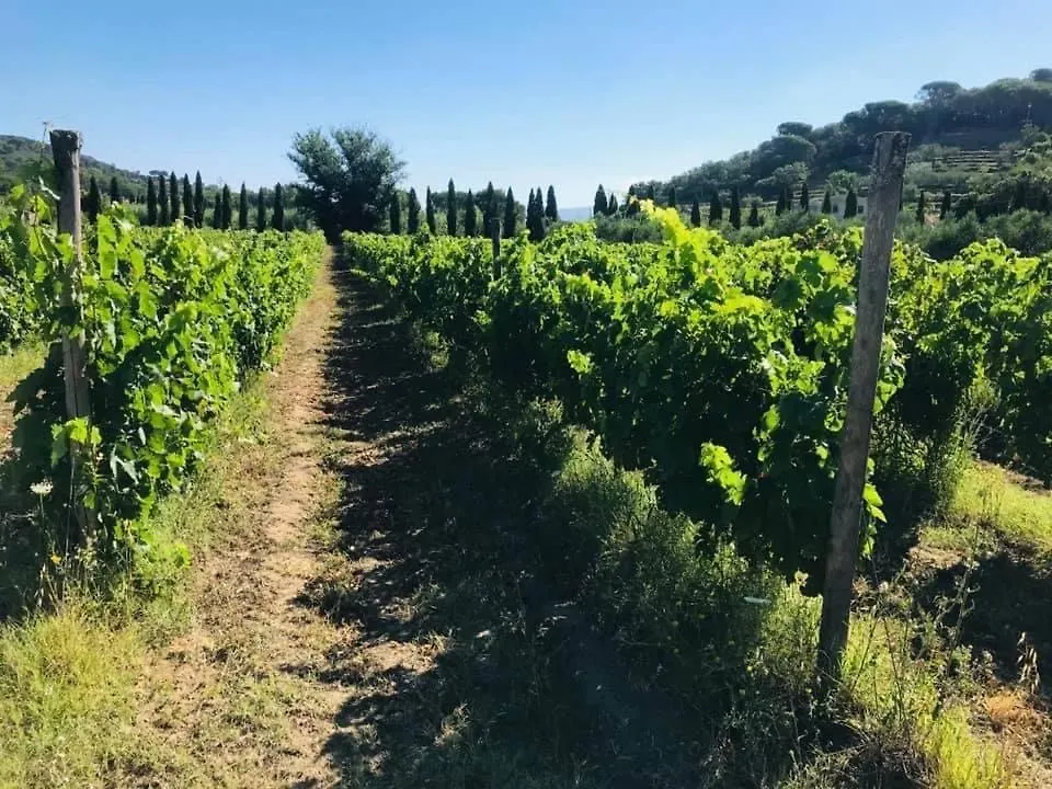 Tenuta Santa Caterina Portoferraio