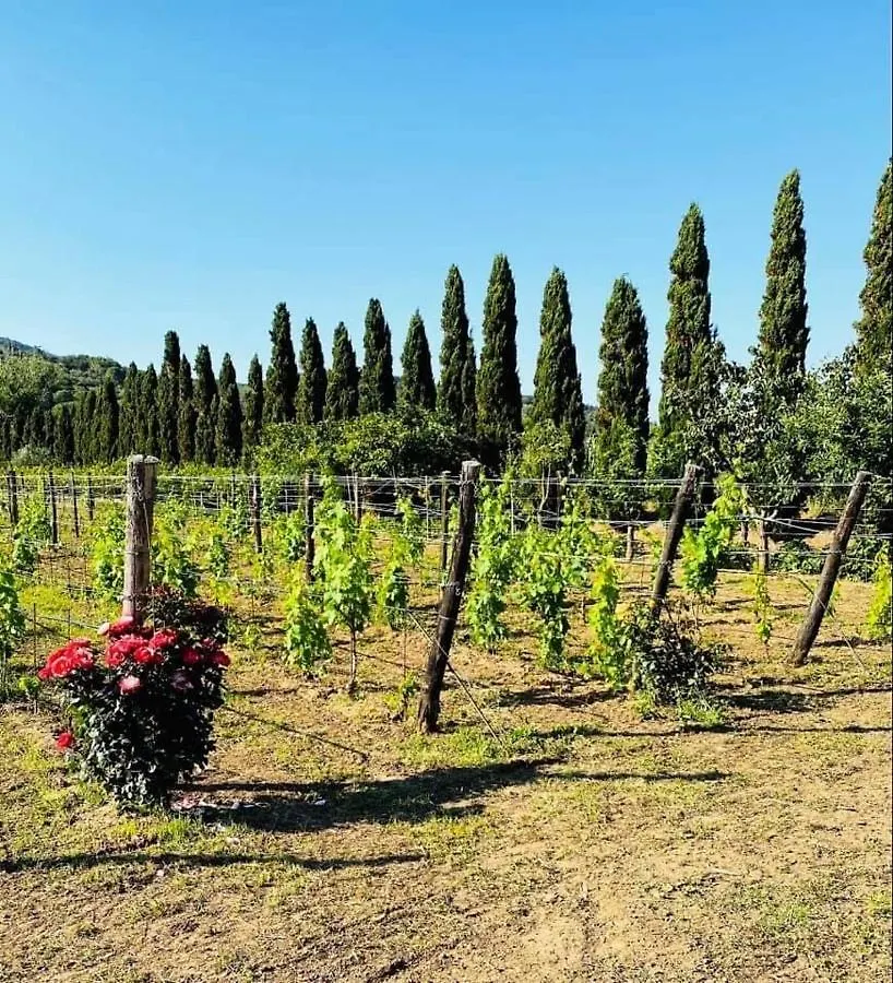 Bed & Breakfast Tenuta Santa Caterina Portoferraio